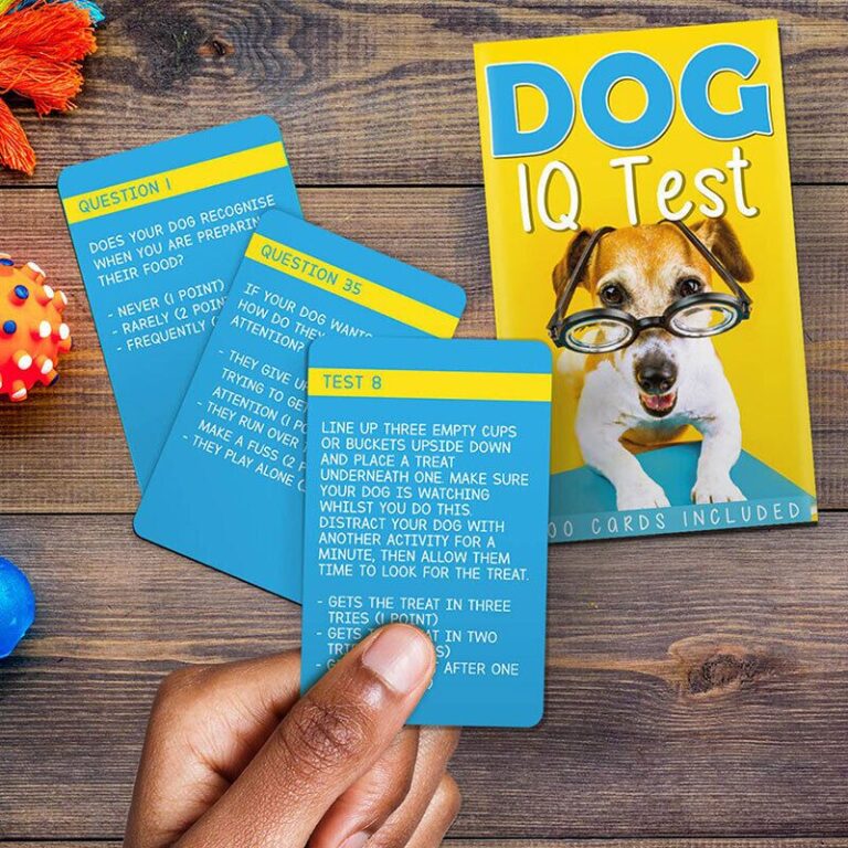 Canine Knowledge Challenge Cards