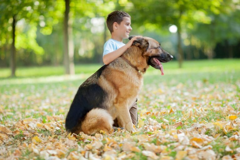 Watch German Shepherd Save 6-Year-Old from Dog Attack