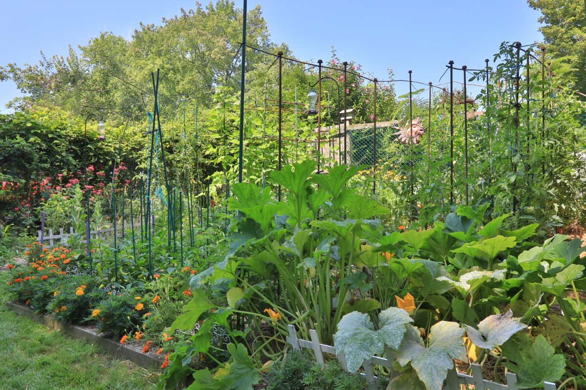 beautiful-veg-garden-1.jpg 7 Smart Reasons to Plant Flowers in Your Vegetable Garden