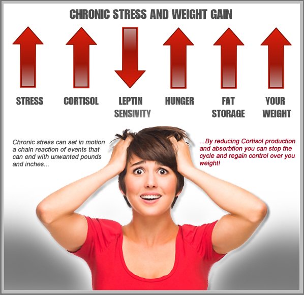 How Understanding Stress Can Help Prevent Weight Gain